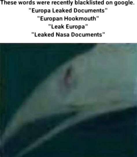 europan hookmouth|Life On Europa Leaked Documents / Europan Hookmouth Hoax